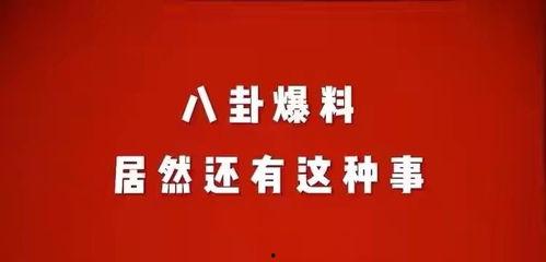 荆门八卦娱乐爆料案件,揭秘娱乐圈惊人内幕